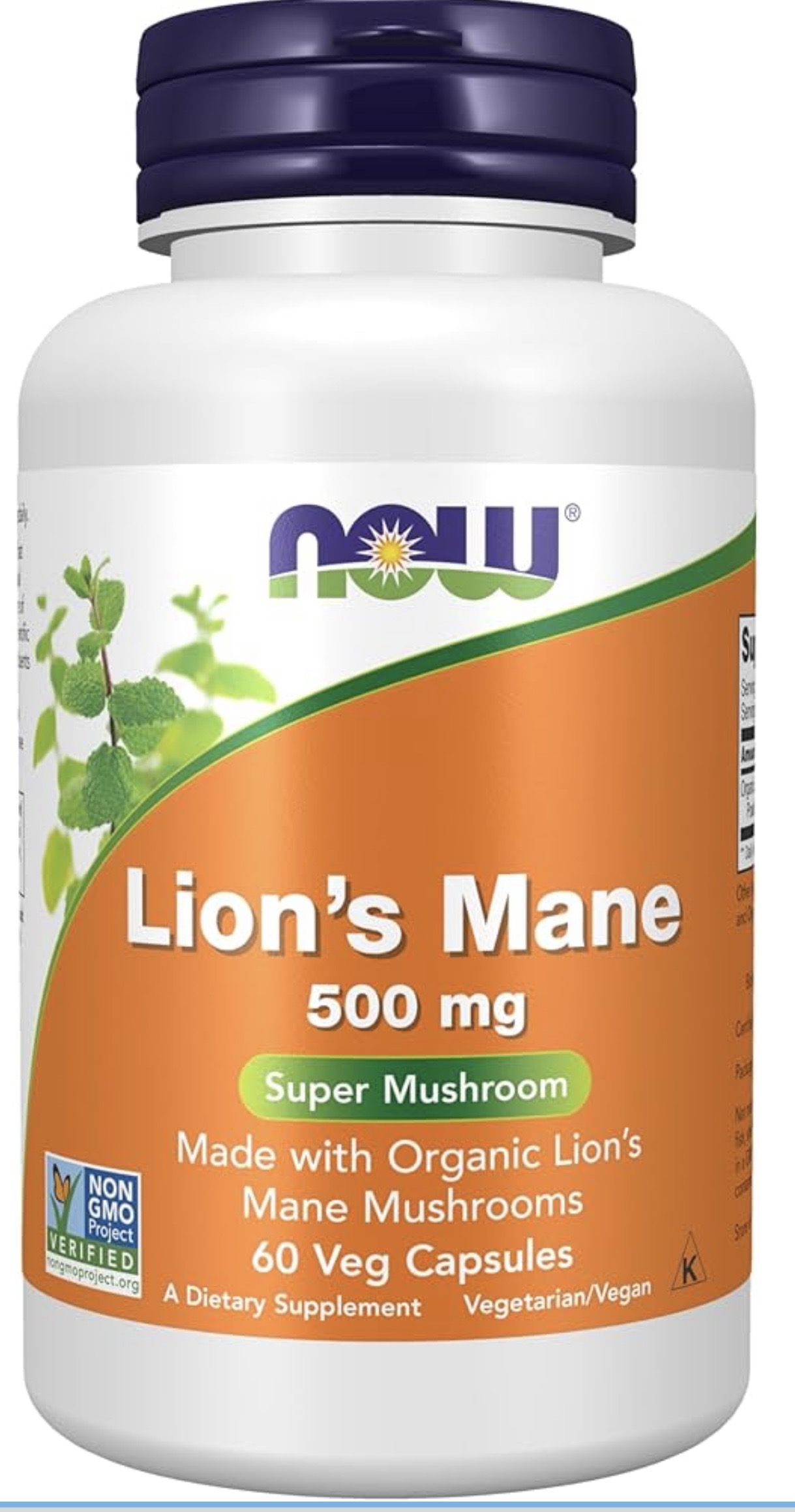 Lion's Mane Mushroom